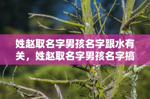 姓赵取名字男孩名字跟水有关，姓赵取名字男孩名字搞笑