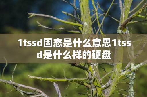 1tssd固态是什么意思1tssd是什么样的硬盘