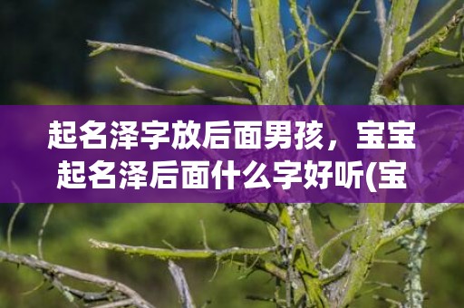 起名泽字放后面男孩，宝宝起名泽后面什么字好听(宝宝起名，遇上好听的“泽”字后缀)