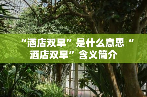 “酒店双早”是什么意思“酒店双早”含义简介