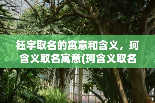 钰字取名的寓意和含义，珂含义取名寓意(珂含义取名寓意，给宝宝带来吉祥好运！)