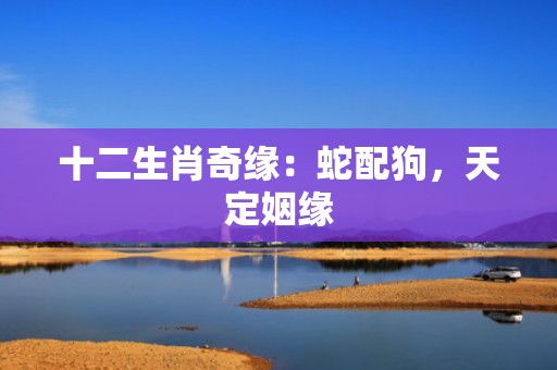 十二生肖奇缘：蛇配狗，天定姻缘