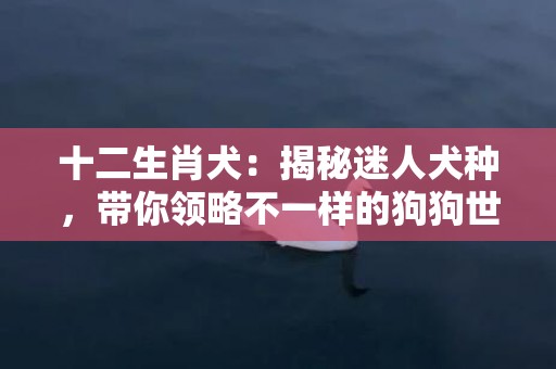 十二生肖犬：揭秘迷人犬种，带你领略不一样的狗狗世界！