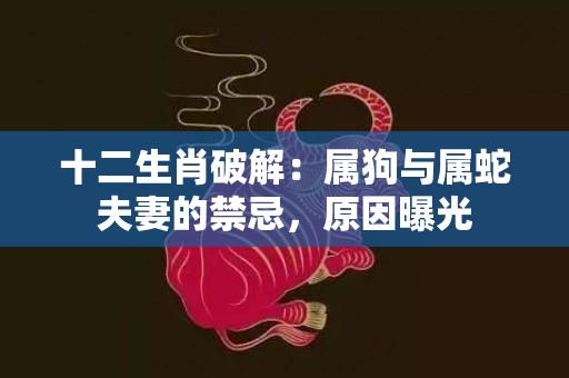 十二生肖破解：属狗与属蛇夫妻的禁忌，原因曝光