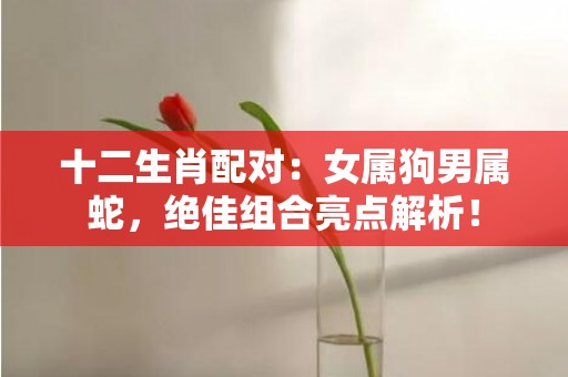 十二生肖配对：女属狗男属蛇，绝佳组合亮点解析！