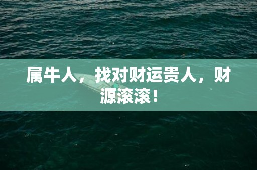 属牛人，找对财运贵人，财源滚滚！