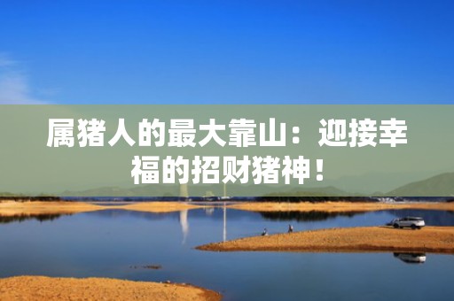 属猪人的最大靠山：迎接幸福的招财猪神！