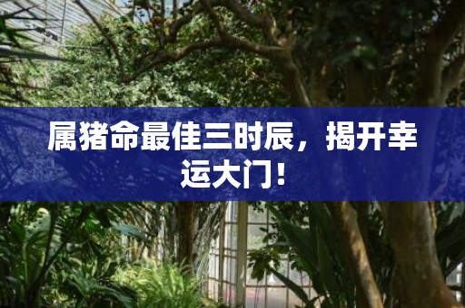 属猪命最佳三时辰，揭开幸运大门！
