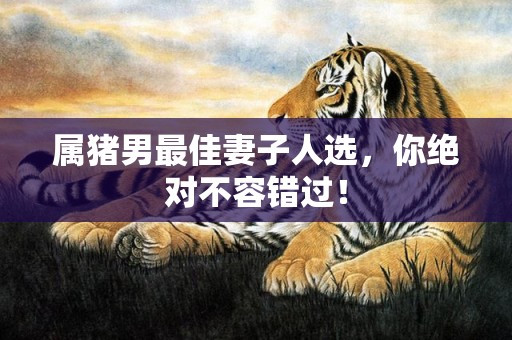 属猪男最佳妻子人选，你绝对不容错过！
