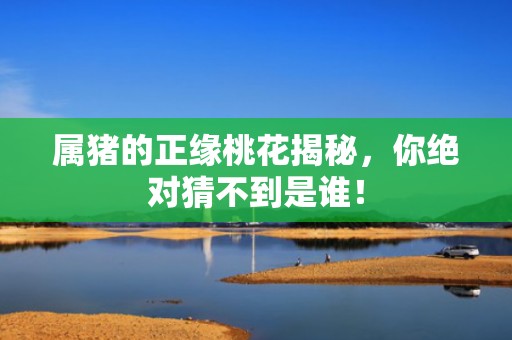属猪的正缘桃花揭秘，你绝对猜不到是谁！