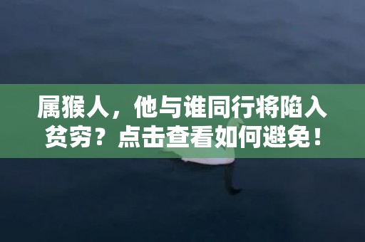属猴人，他与谁同行将陷入贫穷？点击查看如何避免！