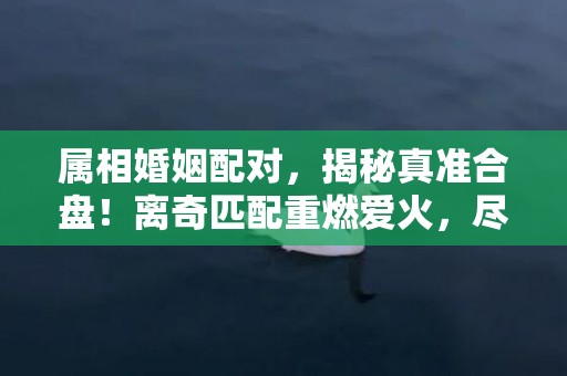 属相婚姻配对，揭秘真准合盘！离奇匹配重燃爱火，尽在这里！