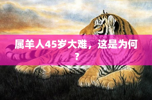 属羊人45岁大难，这是为何？