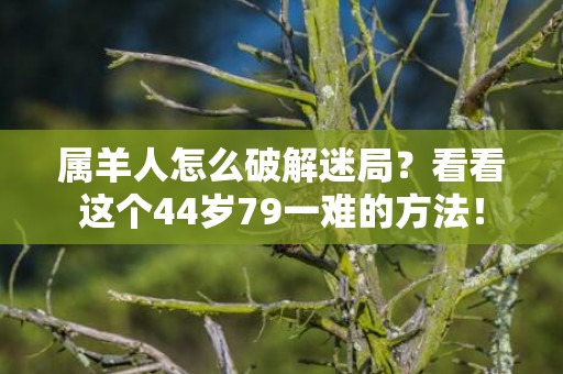 属羊人怎么破解迷局？看看这个44岁79一难的方法！