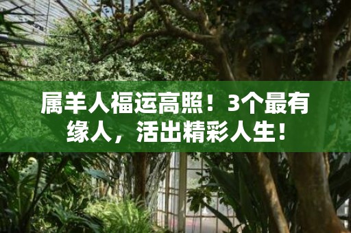 属羊人福运高照！3个最有缘人，活出精彩人生！