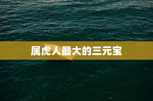属虎人最大的三元宝