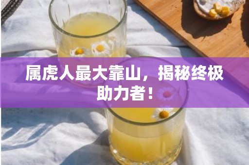 属虎人最大靠山，揭秘终极助力者！
