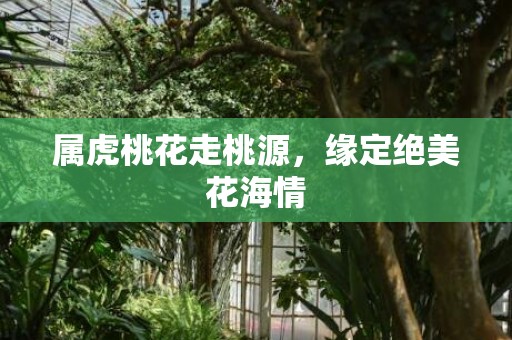 属虎桃花走桃源，缘定绝美花海情