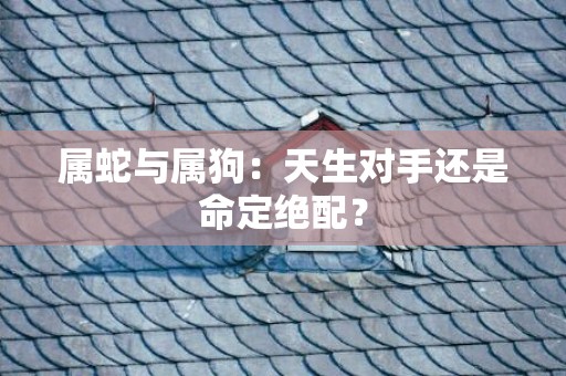 属蛇与属狗：天生对手还是命定绝配？