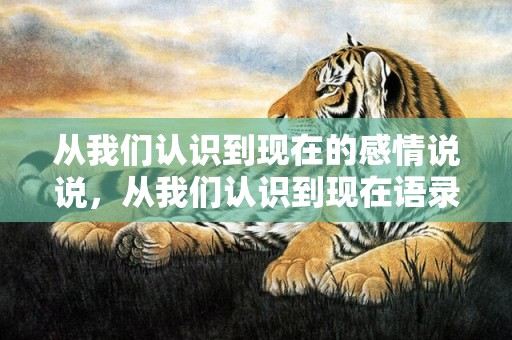 从我们认识到现在的感情说说，从我们认识到现在语录