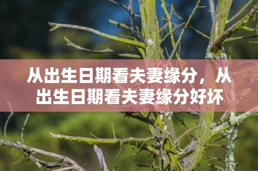 从出生日期看夫妻缘分，从出生日期看夫妻缘分好坏