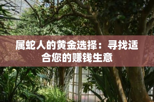 属蛇人的黄金选择：寻找适合您的赚钱生意