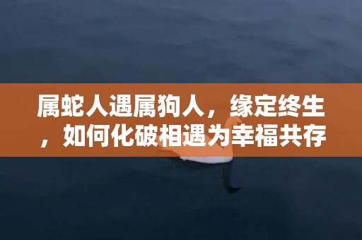 属蛇人遇属狗人，缘定终生，如何化破相遇为幸福共存？