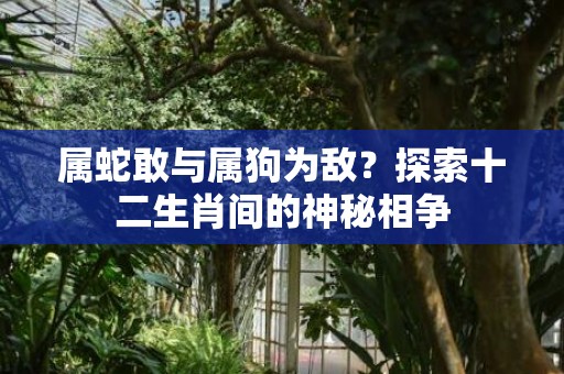 属蛇敢与属狗为敌？探索十二生肖间的神秘相争