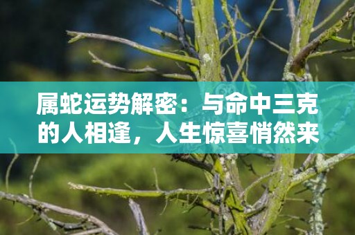 属蛇运势解密：与命中三克的人相逢，人生惊喜悄然来袭！