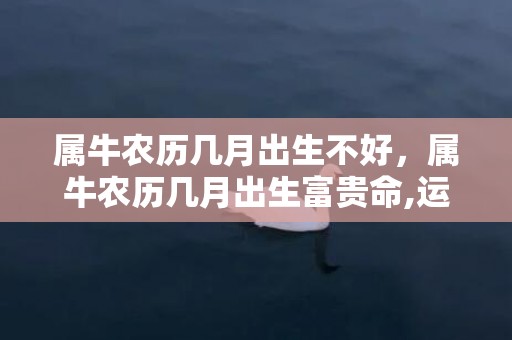 属牛农历几月出生不好，属牛农历几月出生富贵命,运势分析