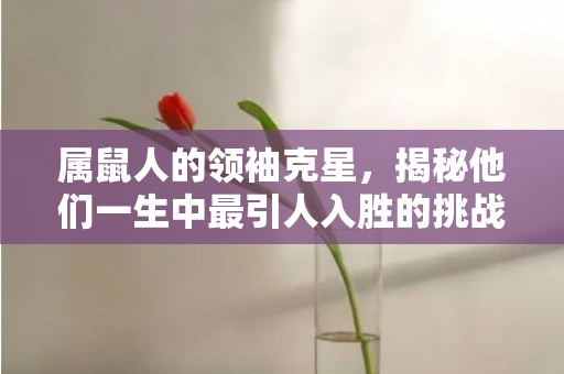 属鼠人的领袖克星，揭秘他们一生中最引人入胜的挑战