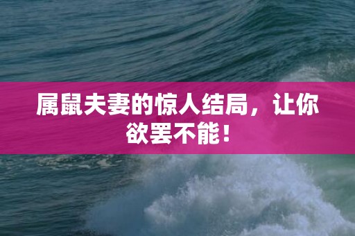属鼠夫妻的惊人结局，让你欲罢不能！