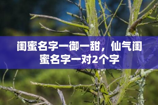 闺蜜名字一御一甜，仙气闺蜜名字一对2个字