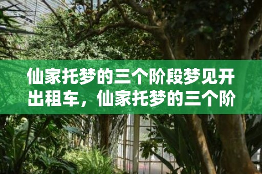仙家托梦的三个阶段梦见开出租车，仙家托梦的三个阶段总结