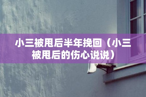 小三被甩后半年挽回（小三被甩后的伤心说说）