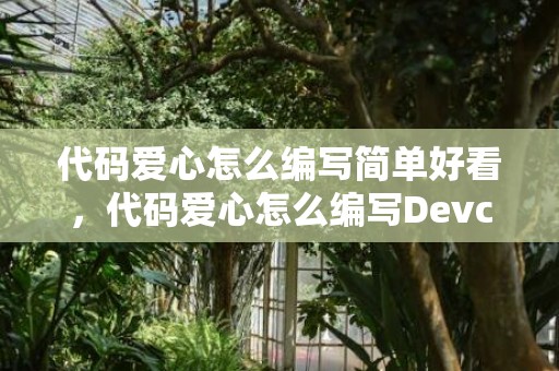 代码爱心怎么编写简单好看，代码爱心怎么编写Devc