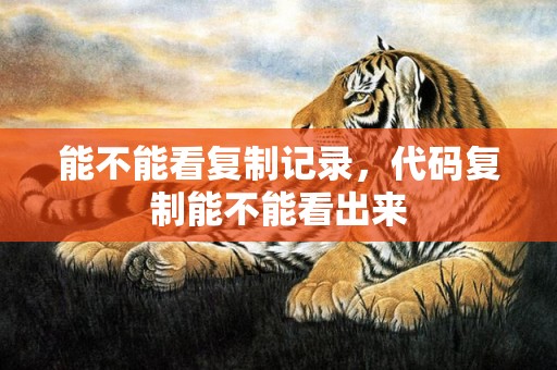 能不能看复制记录，代码复制能不能看出来
