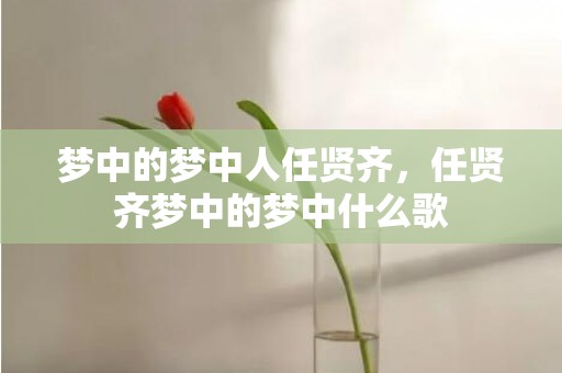 梦中的梦中人任贤齐，任贤齐梦中的梦中什么歌