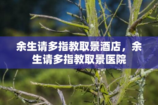 余生请多指教取景酒店，余生请多指教取景医院