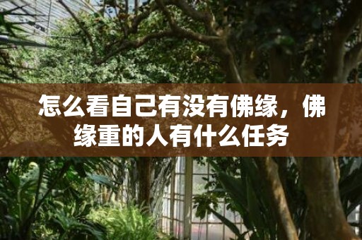 怎么看自己有没有佛缘，佛缘重的人有什么任务