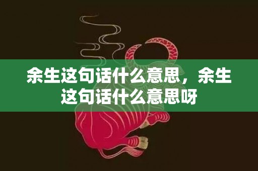 余生这句话什么意思，余生这句话什么意思呀