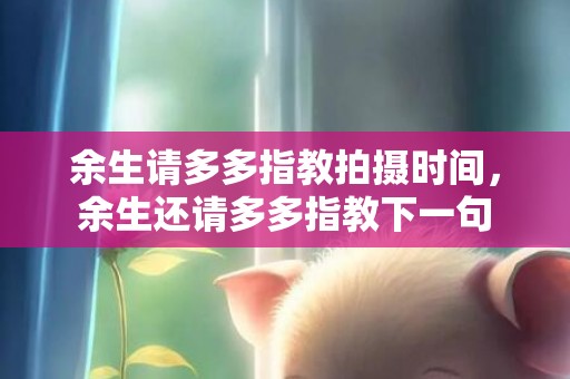 余生请多多指教拍摄时间，余生还请多多指教下一句