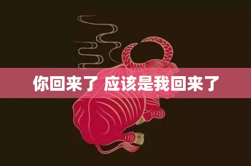 你回来了 应该是我回来了