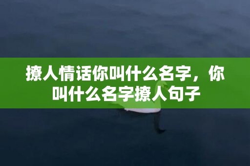 撩人情话你叫什么名字，你叫什么名字撩人句子