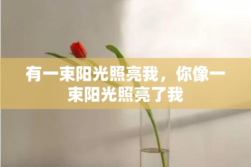 有一束阳光照亮我，你像一束阳光照亮了我
