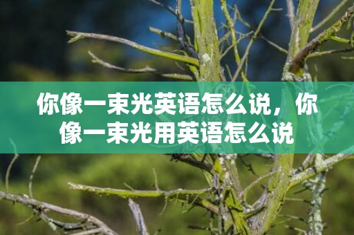 你像一束光英语怎么说，你像一束光用英语怎么说