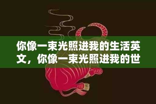 你像一束光照进我的生活英文，你像一束光照进我的世界