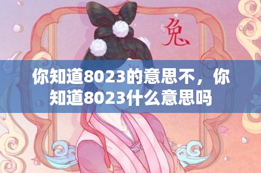 你知道8023的意思不，你知道8023什么意思吗