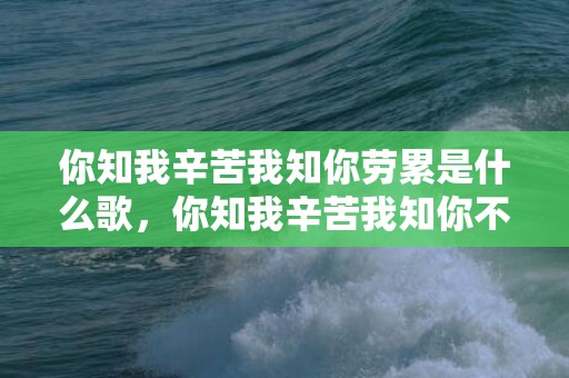 你知我辛苦我知你劳累是什么歌，你知我辛苦我知你不易