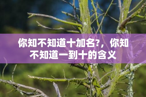 你知不知道十加名?，你知不知道一到十的含义